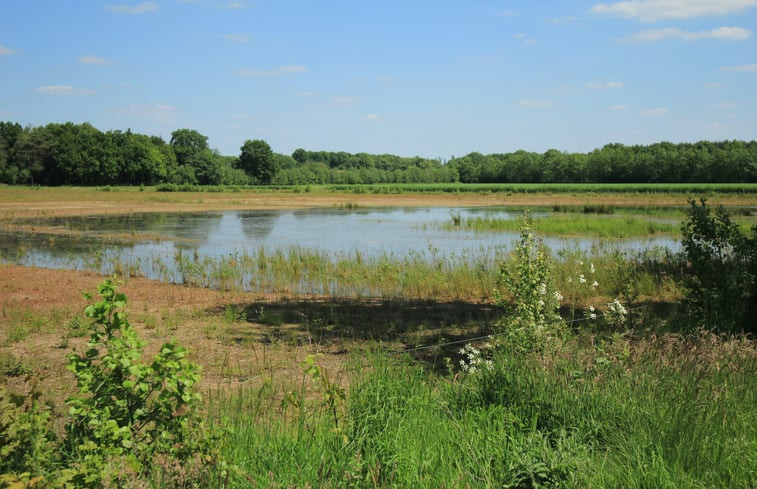 Natuurhuisje in Neede