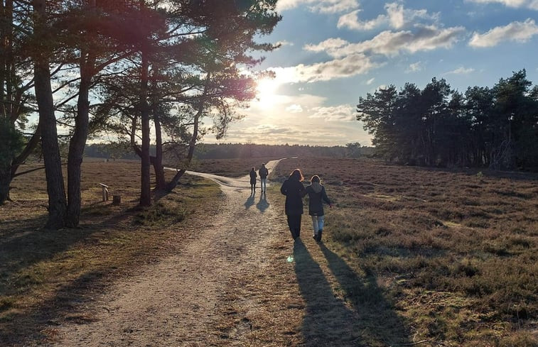 Natuurhuisje in Hattemerbroek