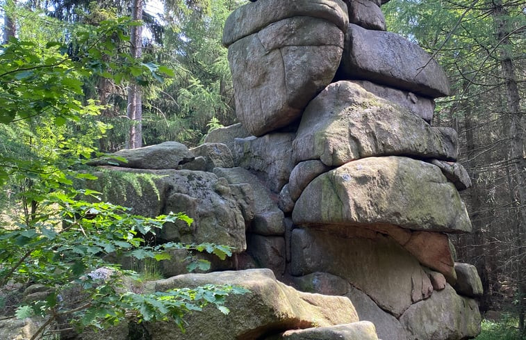 Natuurhuisje in Wernigerode