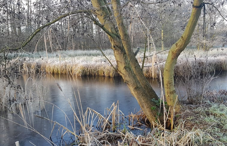 Natuurhuisje in Kortenhoef