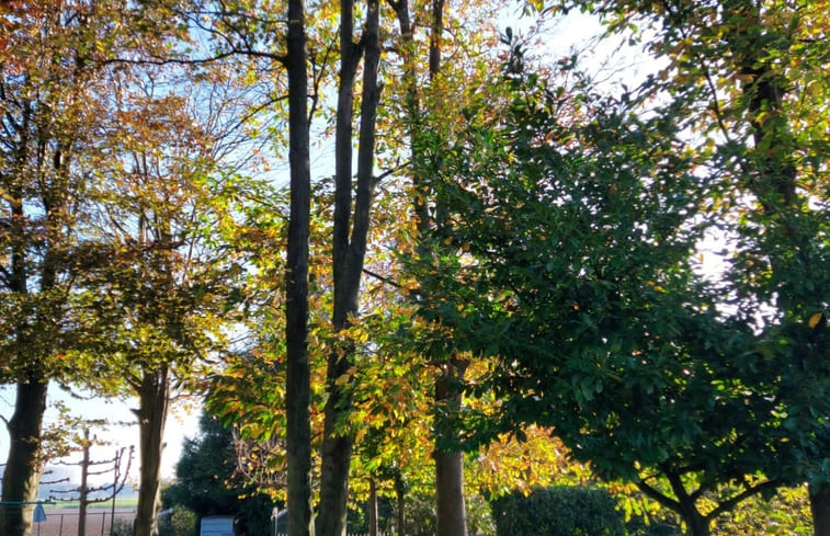 Natuurhuisje in Koewacht