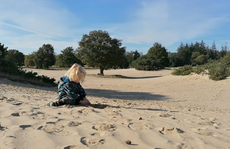 Natuurhuisje in Noordwolde