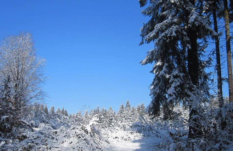 Natuurhuisje in Rendeux