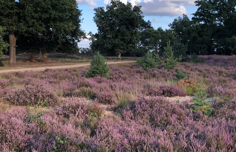 Natuurhuisje in Oisterwijk