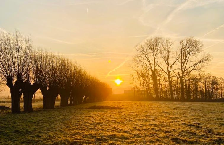 Natuurhuisje in Kapelle-op-den-Bos