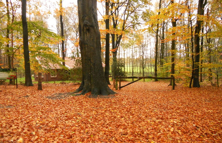 Natuurhuisje in Vasse