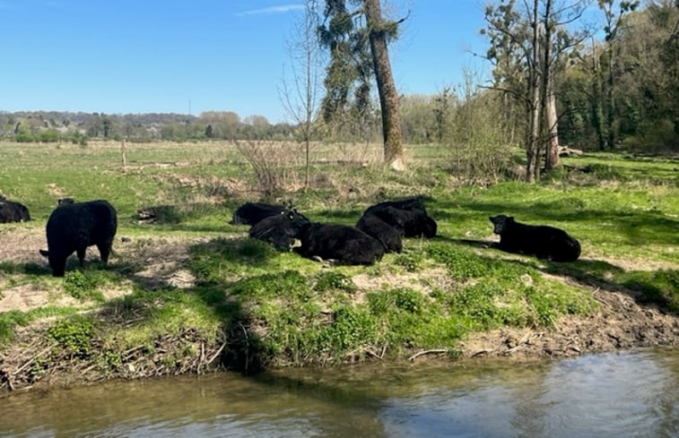 Natuurhuisje in Berg en Terblijt