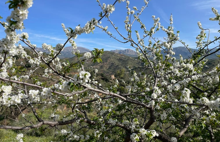 Natuurhuisje in Comares