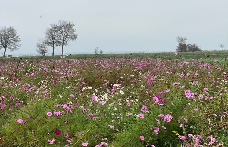 Natuurhuisje in Sommeldsijk