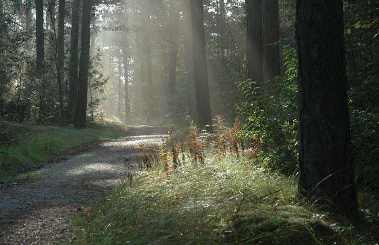 Natuurhuisje in Groet