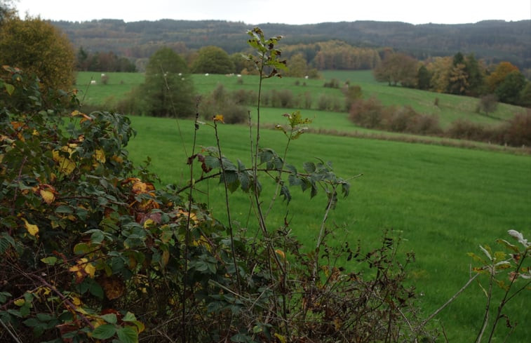 Natuurhuisje in Grand-Halleux