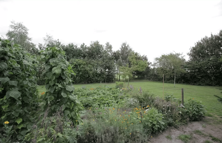 Natuurhuisje in Dalmsholte