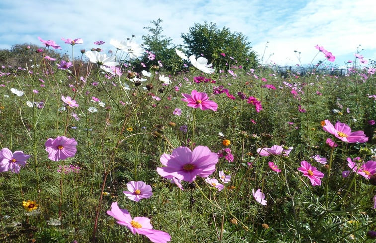 Natuurhuisje in Vernoux-en-Gatine