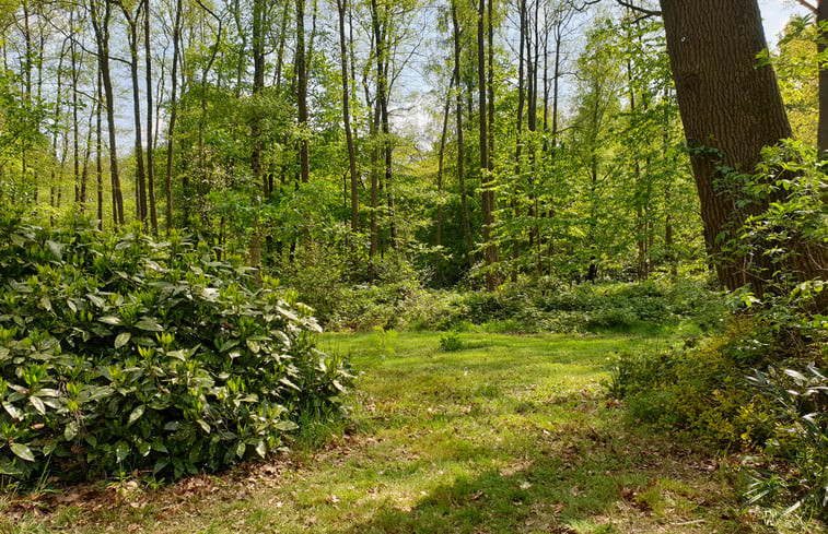 Natuurhuisje in Winterswijk Ratum