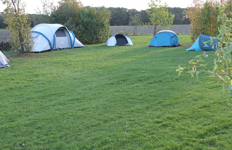 Natuurhuisje in Terheijden