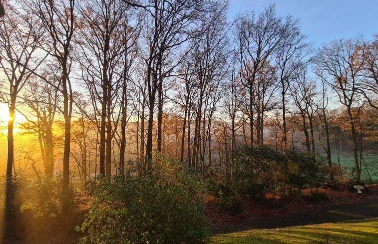 Natuurhuisje in Overijse