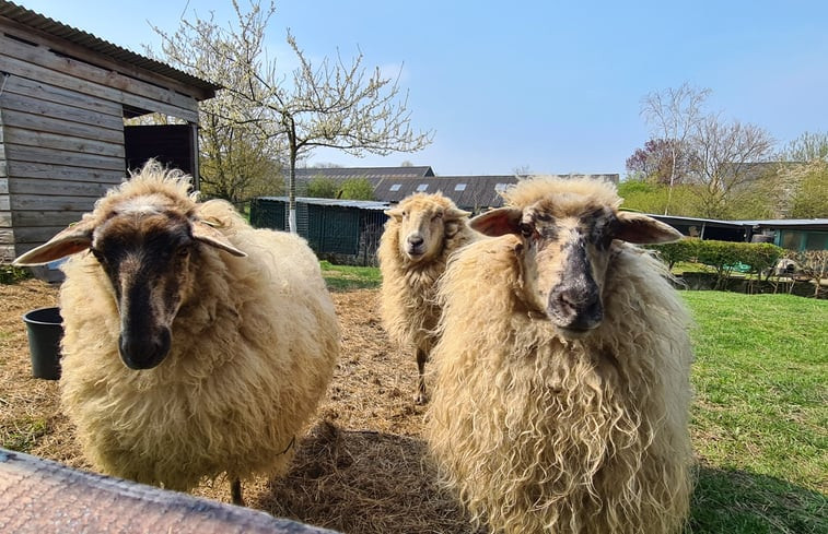 Natuurhuisje in Gulpen