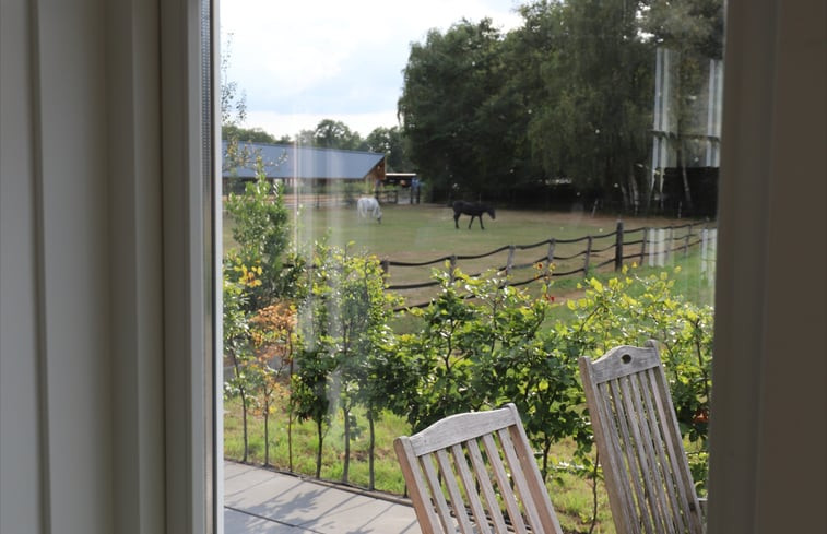 Natuurhuisje in Voorthuizen