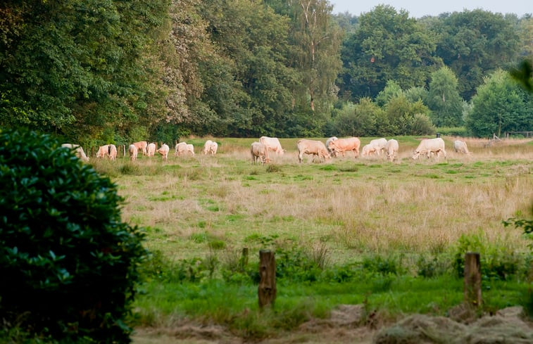 Natuurhuisje in Tubbergen