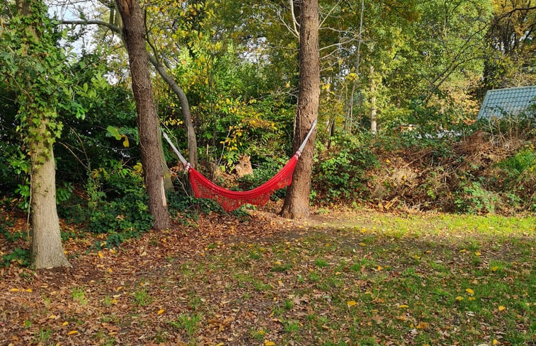 Natuurhuisje in Ommen