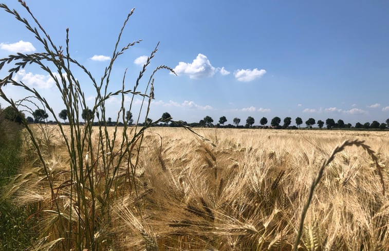 Natuurhuisje in Zonnemaire