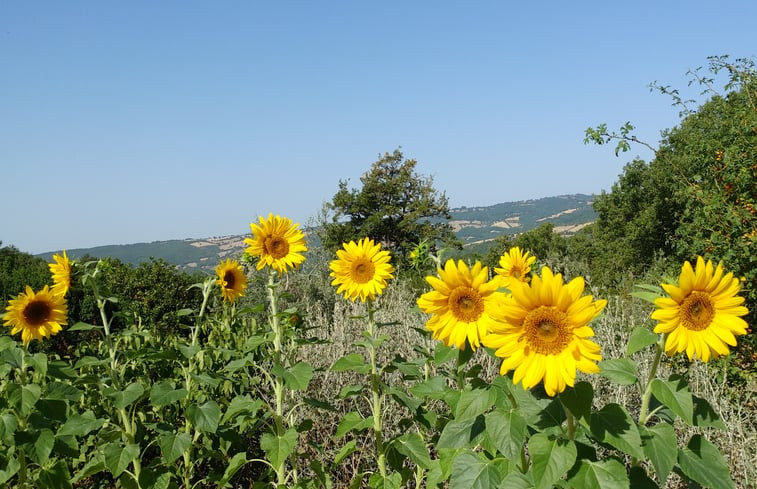 Natuurhuisje in Roccalbegna