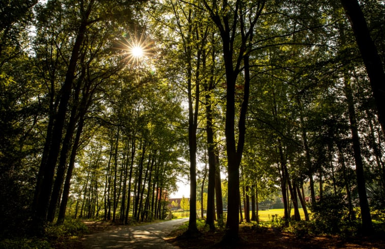 Natuurhuisje in Losser