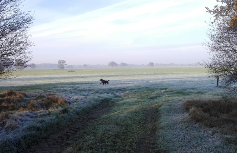 Natuurhuisje in Ruinen