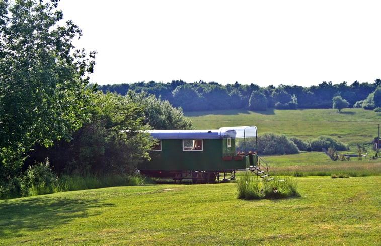 Natuurhuisje in Cerovo Lazy