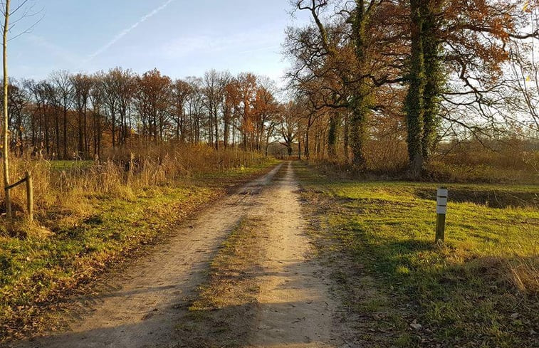 Natuurhuisje in Lettele