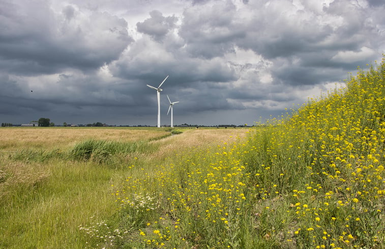 Natuurhuisje in Jislum