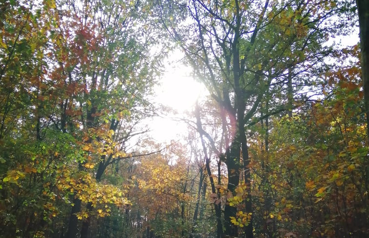 Natuurhuisje in Heerle