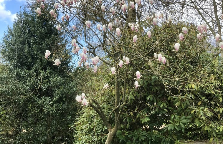 Natuurhuisje in Groet