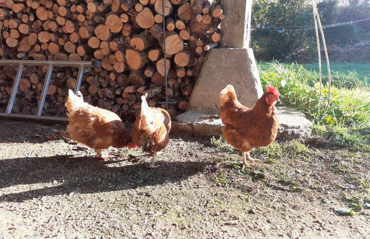 Natuurhuisje in Mahalon