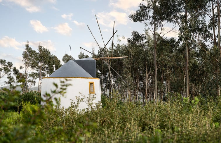 Natuurhuisje in Famalicao, Nazaré