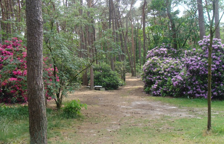 Natuurhuisje in Drunen