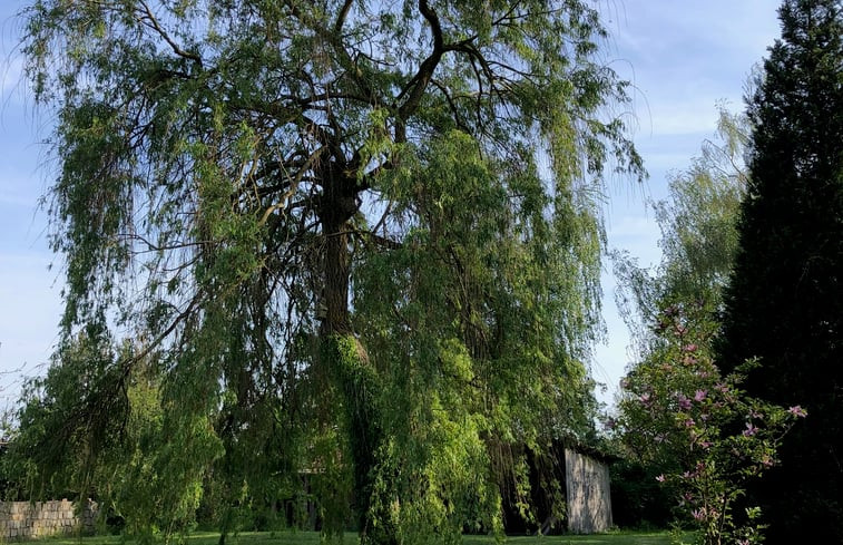 Natuurhuisje in Aulosen