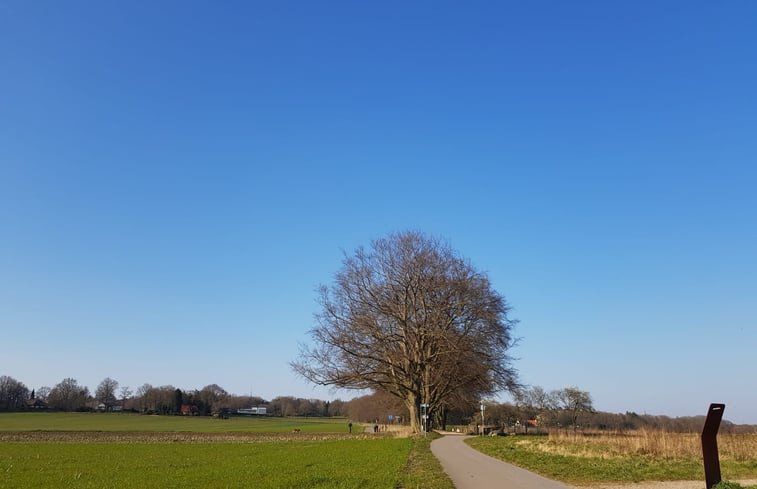 Natuurhuisje in Holten