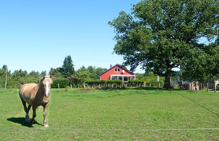 Natuurhuisje in Rienne (Gedinne)