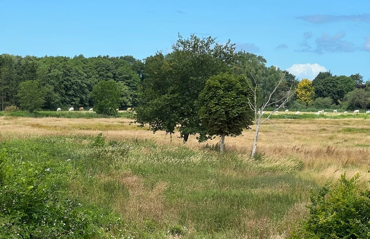 Natuurhuisje in Neuenkirchen / Rügen