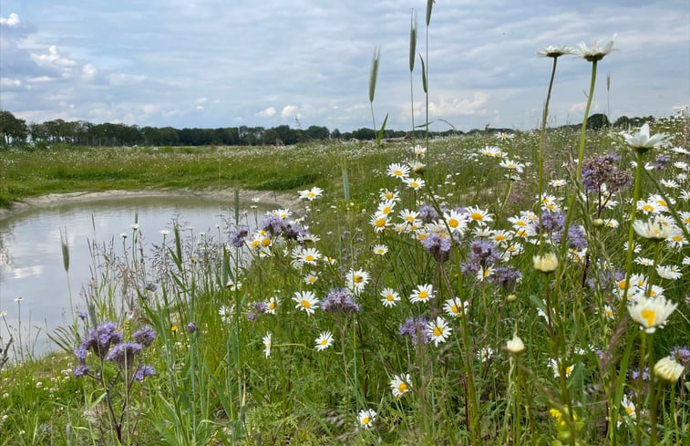 Natuurhuisje in Gilze