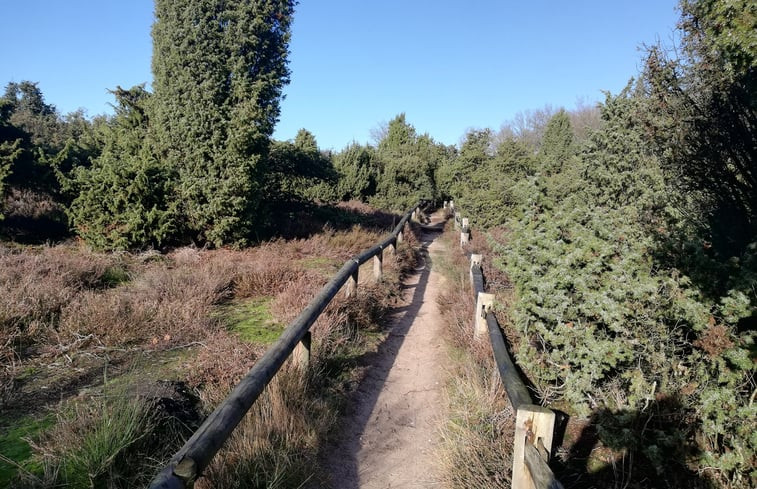 Natuurhuisje in Holten