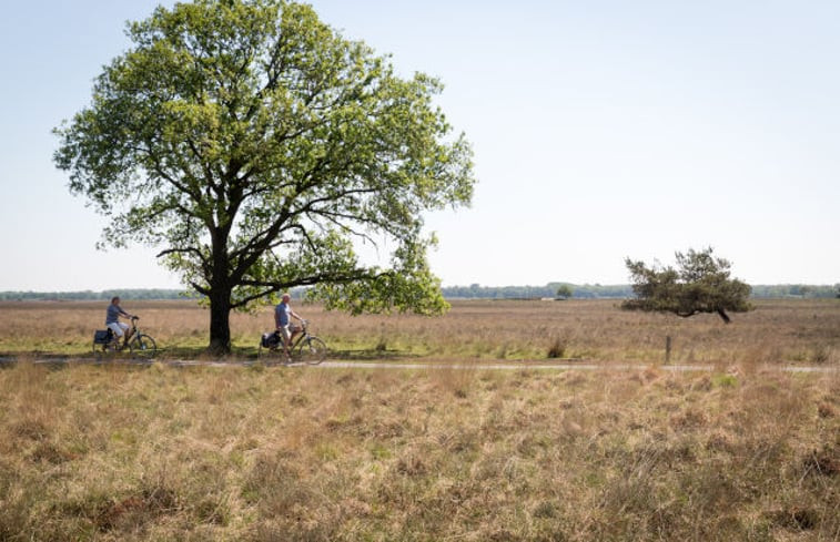 Natuurhuisje in Wateren