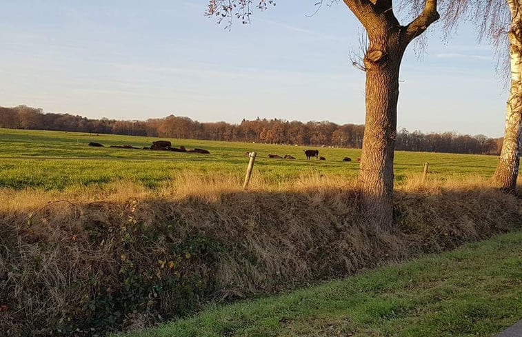 Natuurhuisje in Lettele