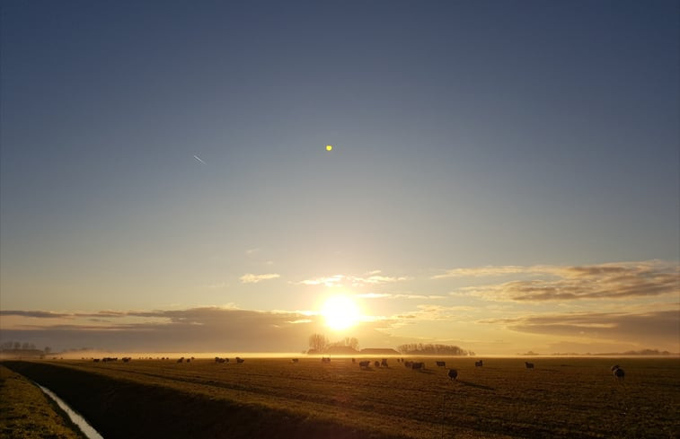 Natuurhuisje in Hornhuizen