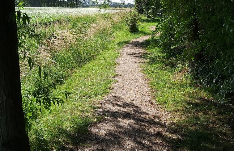 Natuurhuisje in Wolphaartsdijk