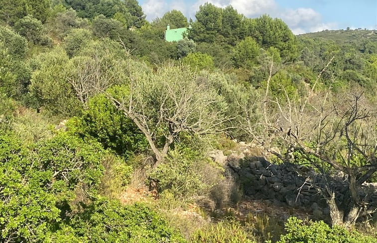 Natuurhuisje in Cabanes