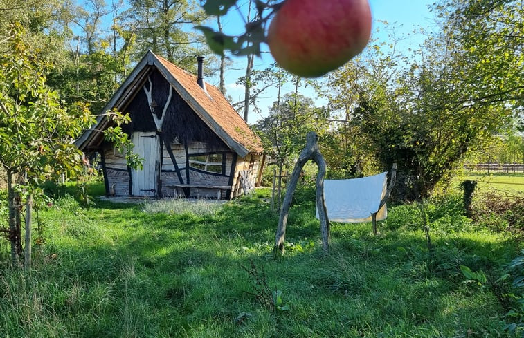 Natuurhuisje in Winterswijk Corle