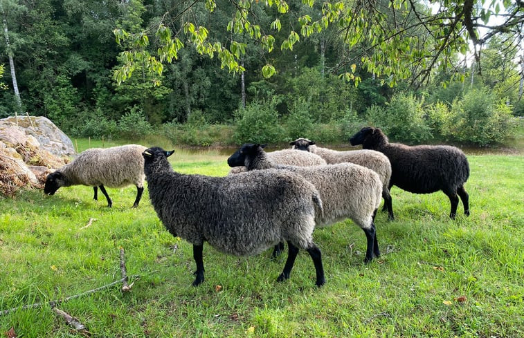 Natuurhuisje in Tingsryd