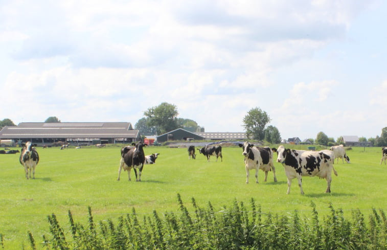 Natuurhuisje in Genderen